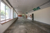 Kaunas Žaliakalnis Savanorių pr. 130