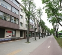Kaunas, Žaliakalnis, Savanorių pr.
