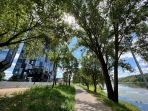 Kaunas, Žemieji Šančiai, Juozapavičiaus g.