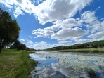 Kaunas, Žemieji Šančiai, Juozapavičiaus g.